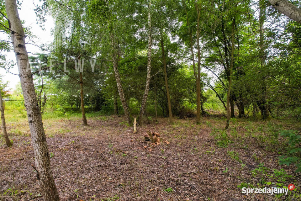 Grunt do sprzedania Wilcza Góra 3585m2 mazowieckie sprzedam