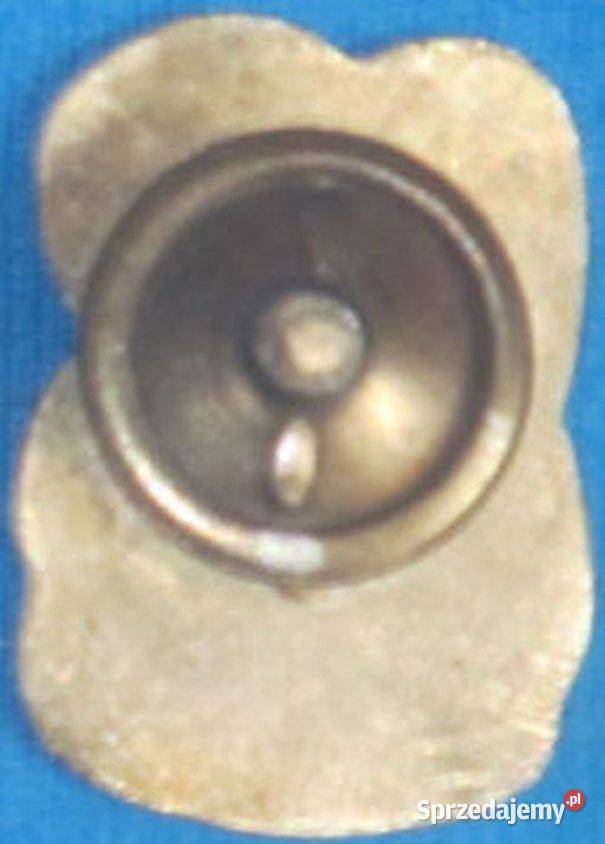 Przypinka ZSP Gliwice 1960 śląskie sprzedam