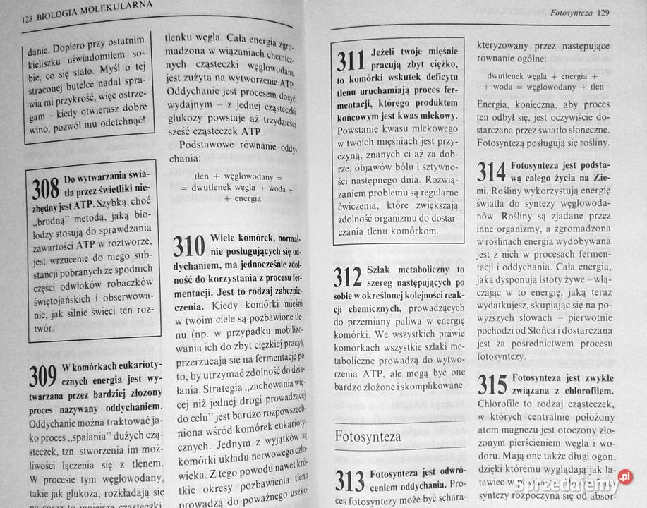 1001 spotkań z nauką James Trefil Chełm