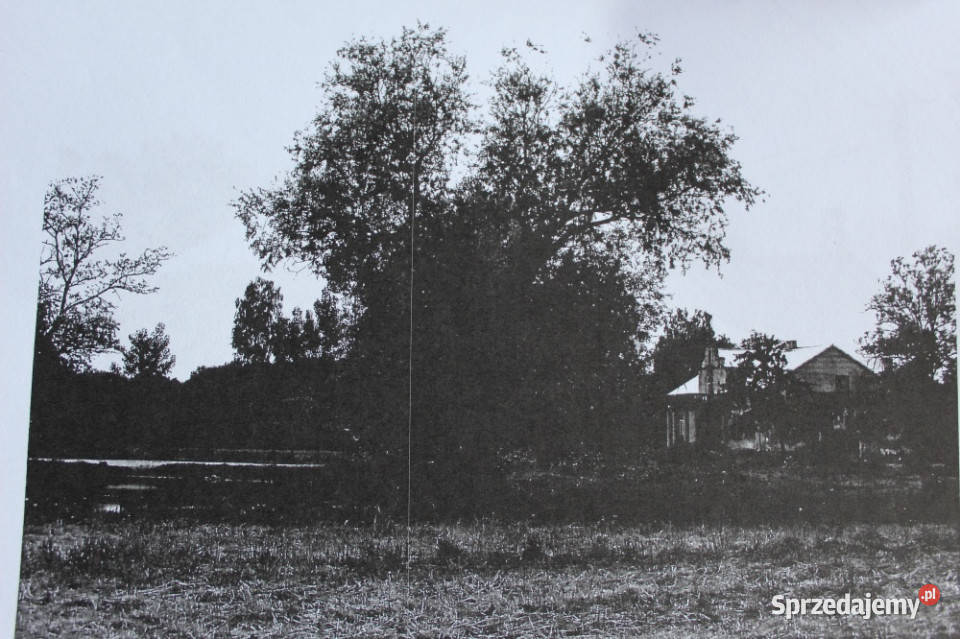 Dwór Józefa Świderskiego 1926 r Działka 8000m Sprzedaż wielkopolskie sprzedam