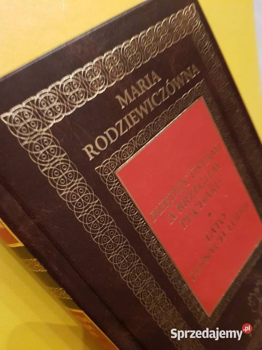 między ustami a brzegiem pucharu lato leśnych ISBN 8360225494 Kielce sprzedam
