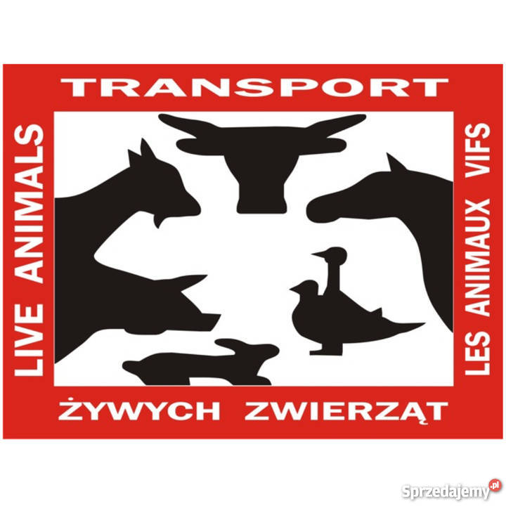 Naklejka Przewóz żywych zwierząt sprzedam
