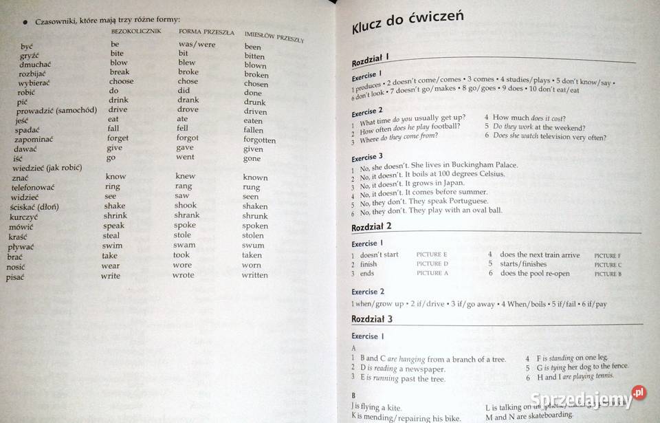 Angielski English Tenses Czasy Ken Singleton Chełm sprzedam