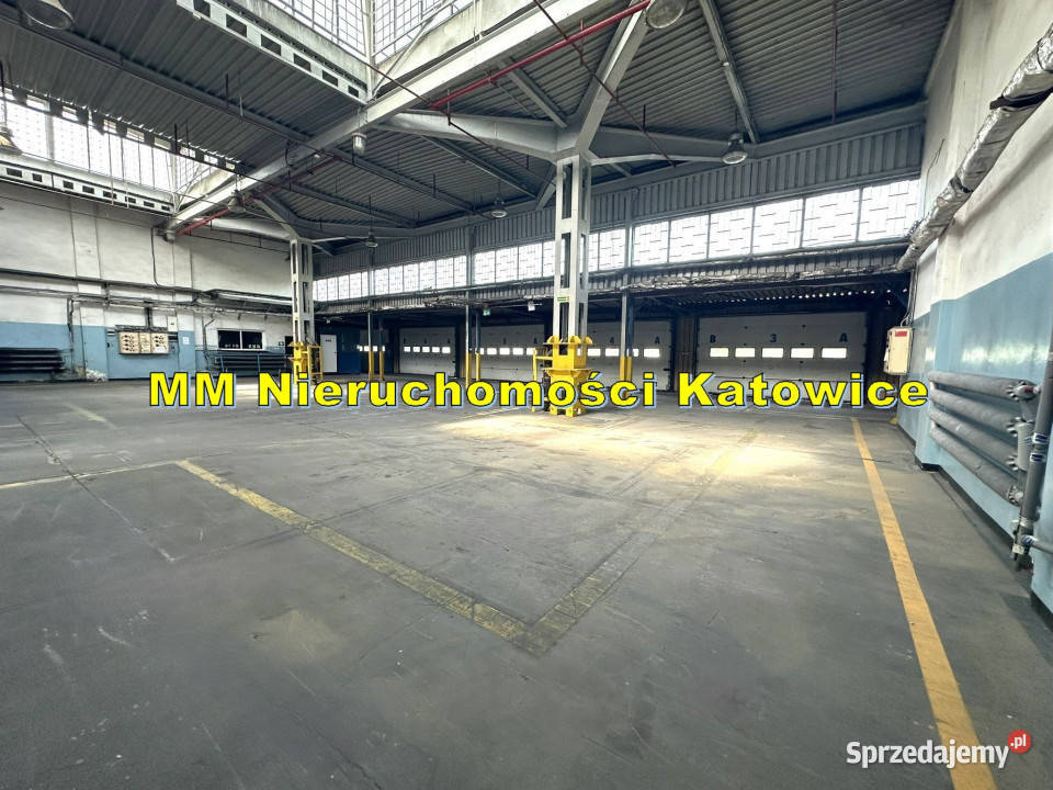 Magazyny z rampami do wynajęcia Sosnowiec duży sprzedam