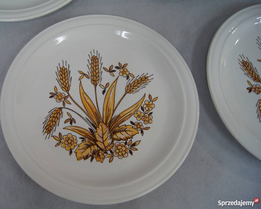 Rustykalny talerz obiadowy płytki Chojnice