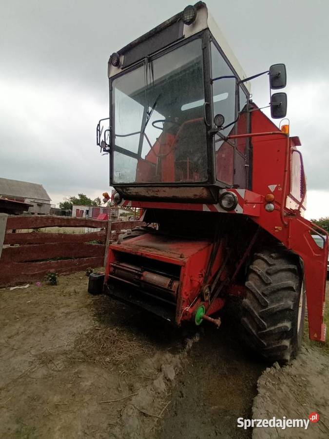 Bizon rekord mazowieckie Drobin