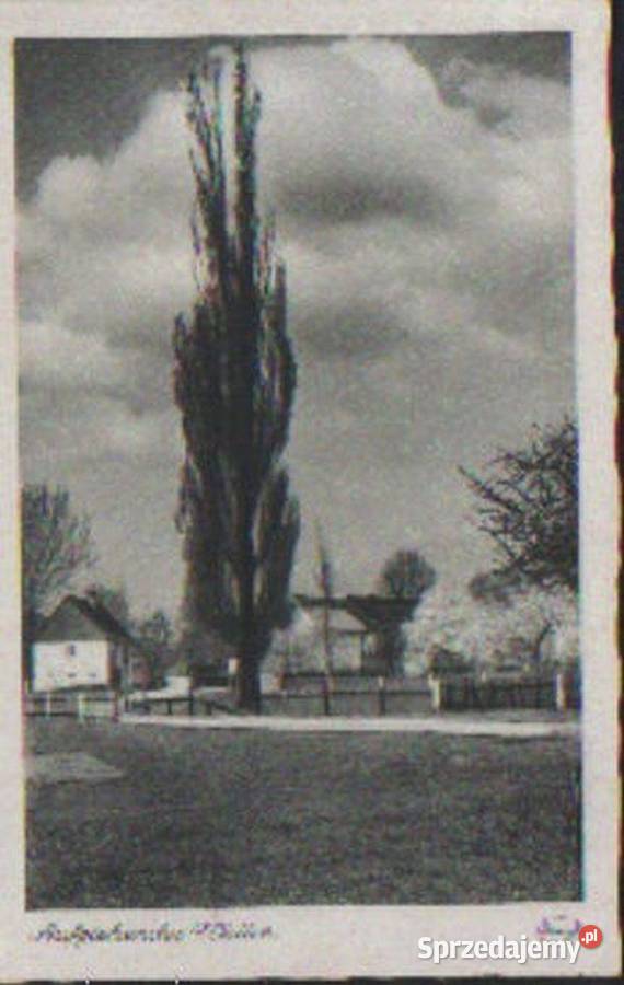 K Poczt DR widoki 3 poz Gliwice sprzedam