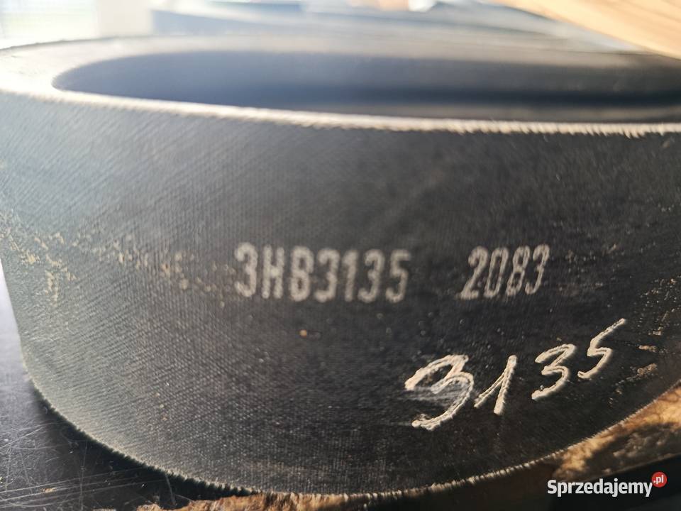 Pas 3B 3135 Biłgoraj
