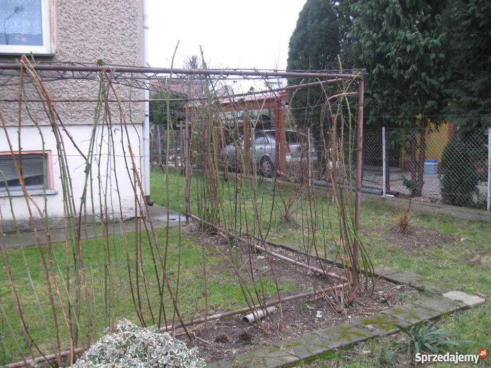 Sprzedam dom internet Domy dolnośląskie Legnica