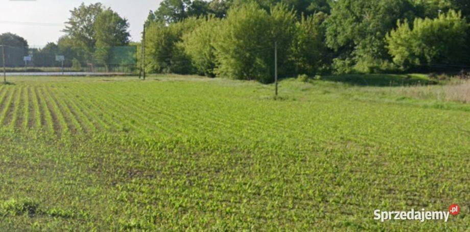 z MPZP trasie 8700m2 Święcice Sprzedaż mazowieckie