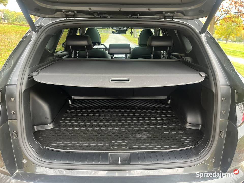 Hyundai Tucson 16 TGDi HEV N Line 2WDFull Hyundai Kalwaria Zebrzydowska