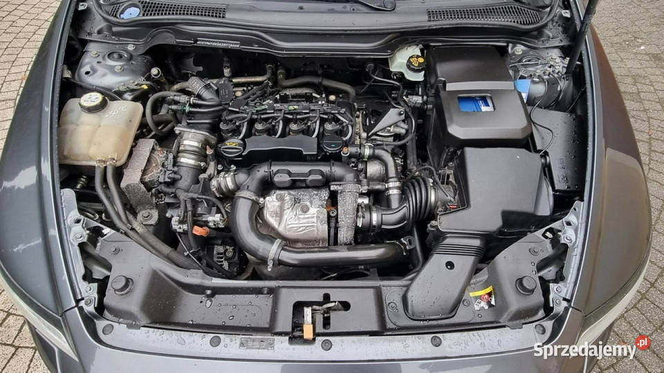 Volvo V50 Prosty Silnik Lift Xenon Serwis 109KM Płońsk