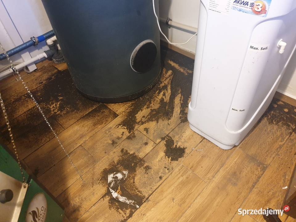 Dezynfekcja zapachów i ozonowanie Oświęcim