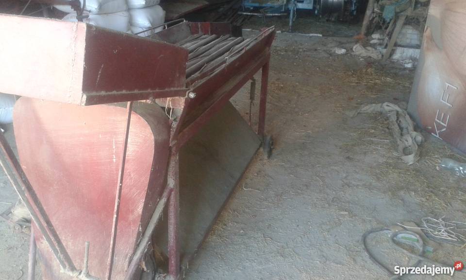 Czyszczarka do cebuli Maszyna do cebuli Obcinacz Gniewoszów