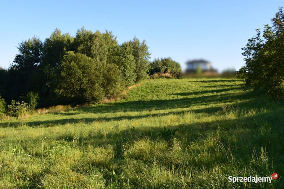 Działki budowlane 10a do 47a w Tyczynie Tyczyn sprzedam