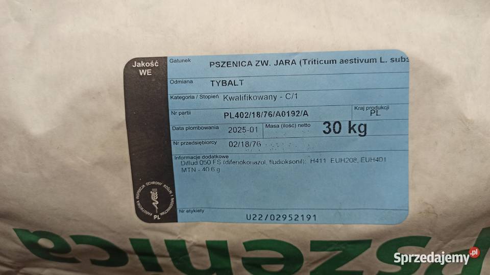 Przenica jara TYBALT Brzostek