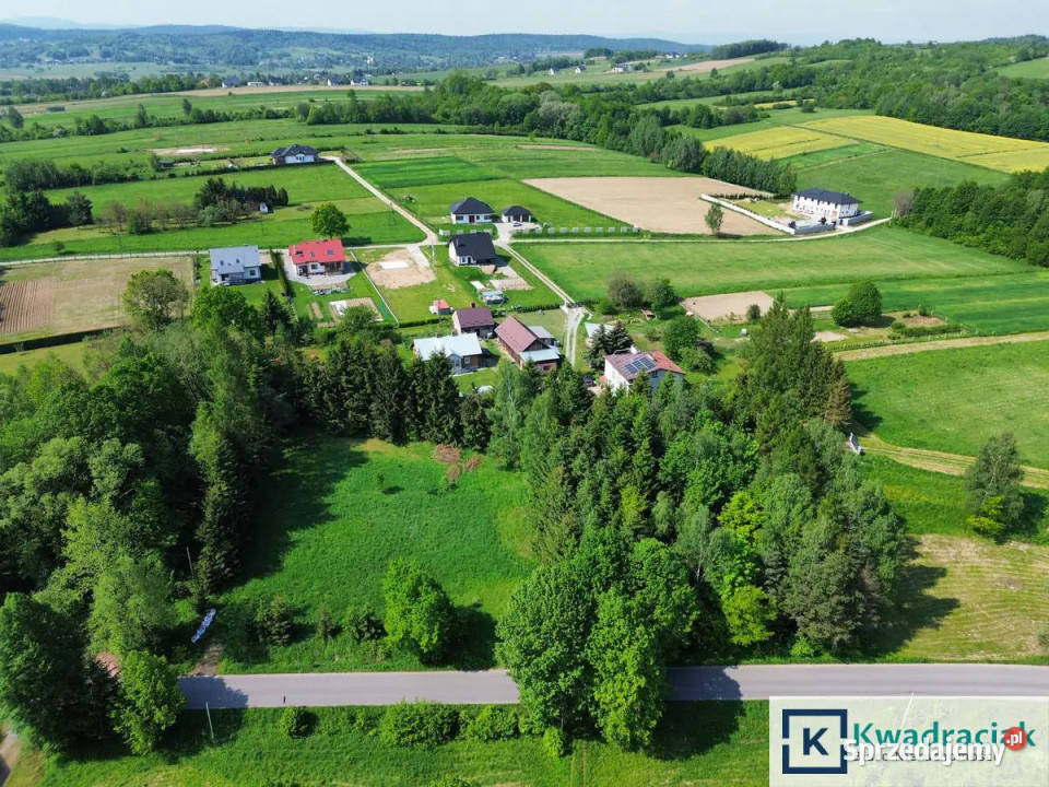 Grunt 4900m2 Zręcin Konopnickiej