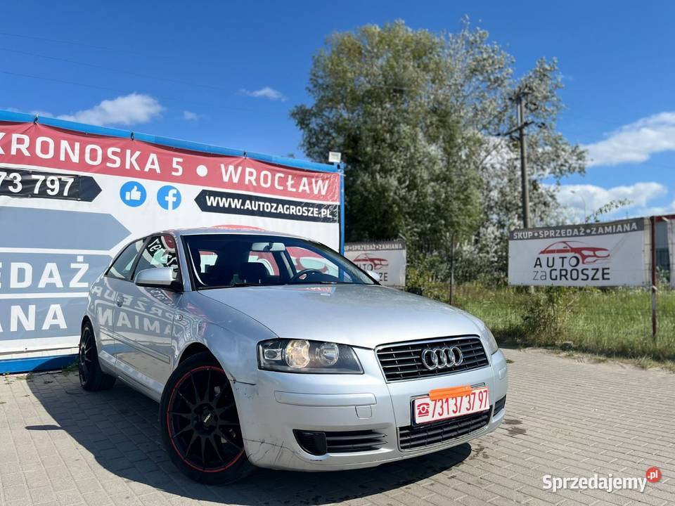 Audi A3 8P 16 Benzyna 2005 Alufelgi Zadbany Audi dolnośląskie Wrocław