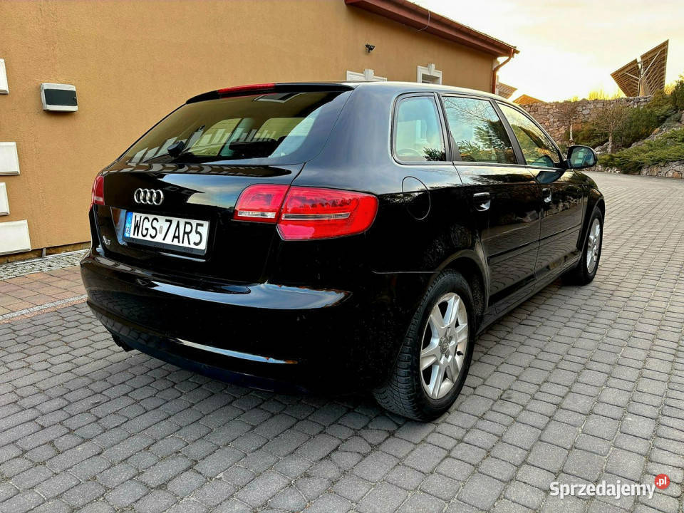 Audi A3 Sportback Lift 19 TDI DSG 5 Drzwi Serwis nieuszkodzony Zagnańsk