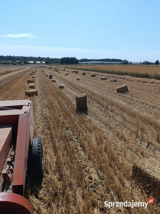 Słoma pszenna i owsiana