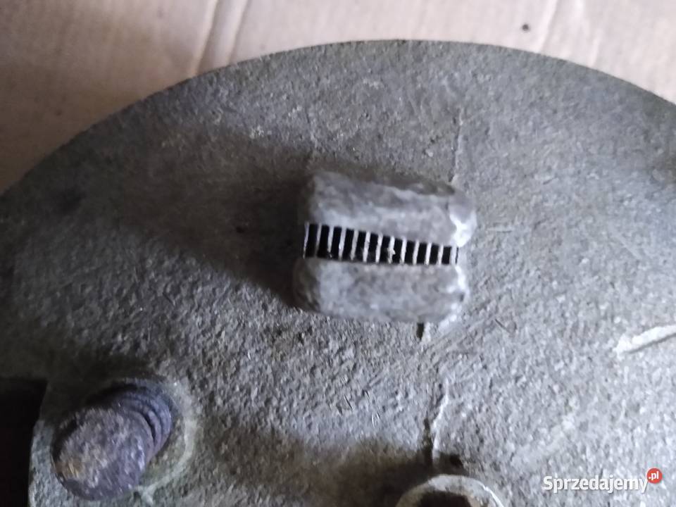 Junak m10 szczekotrzymacz tarcz kotwiczna Kruszwica