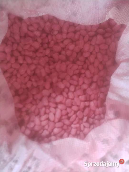 Sprzedam fasolę zabejcowana Mosty Małe