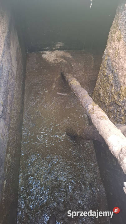 Gnojowica bydlęca Augustów