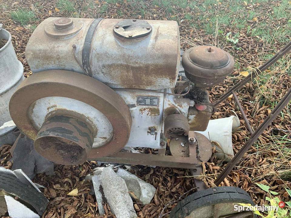 Silnik Andoria ESA Zwoleń sprzedam