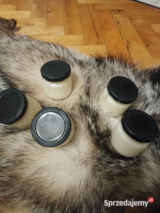 Sadło z borsuka podkarpackie Jeżowe sprzedam