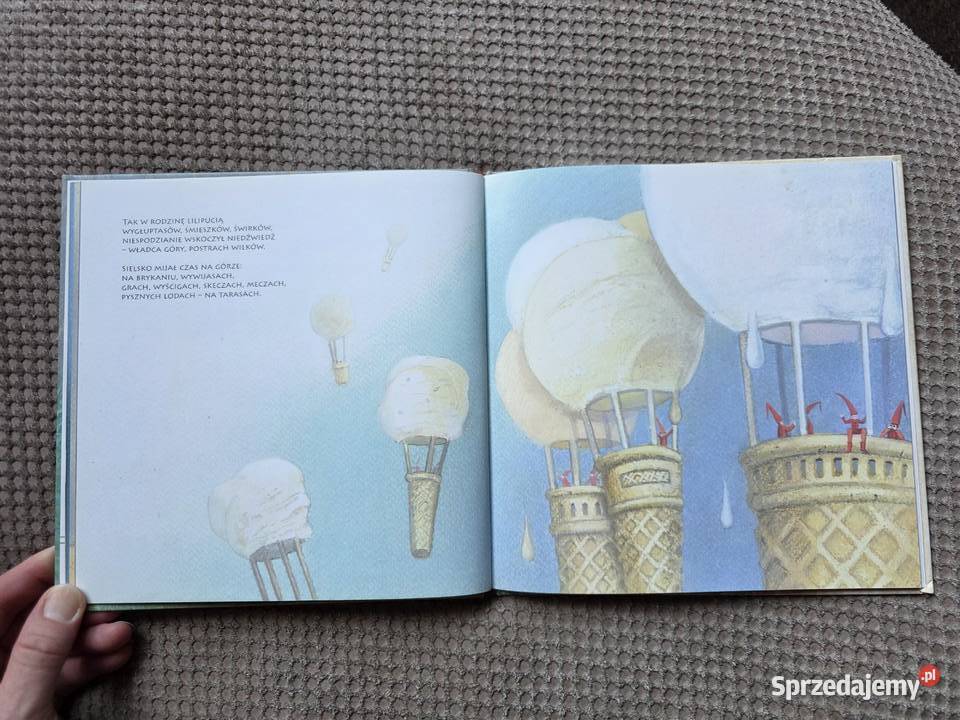 książka z płytą CD nocy i sza Bajki i wierszyki Kraków