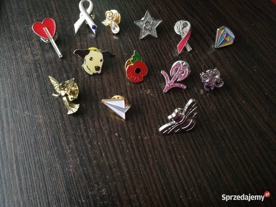 Piny wpinki motylek Choszczno