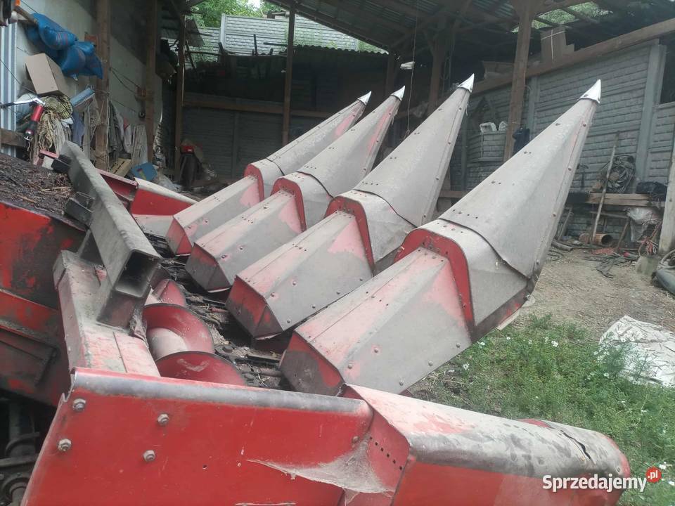 Przystawka do kukurydzy 5 rzędowa do Bizona Słaboszów