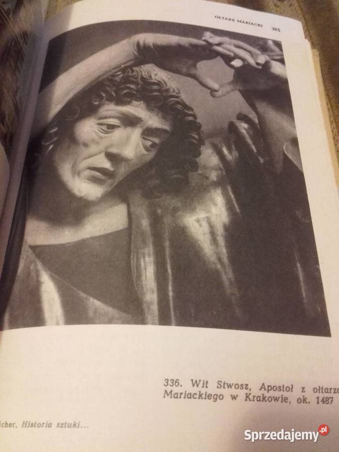 HISTORIA SZTUKI W ZARYSIE KAROL ESTREICHER podkarpackie Rzeszów