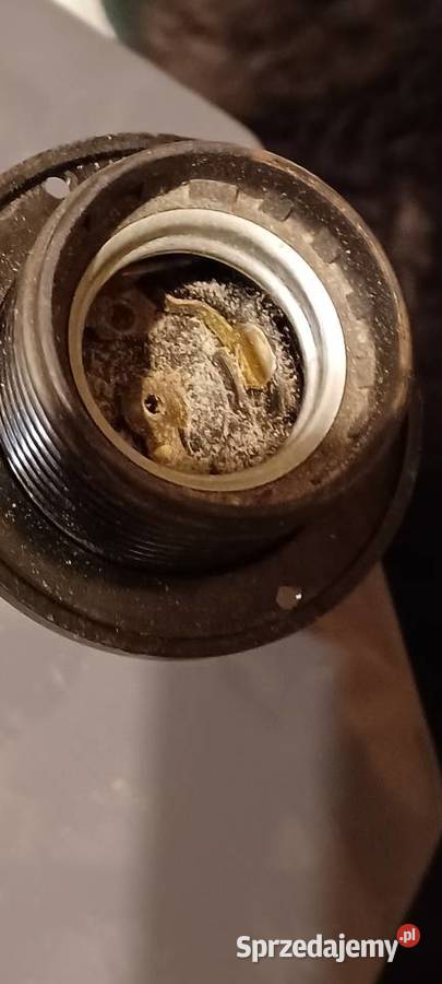 lampy vintage opisane czytaj Poznań