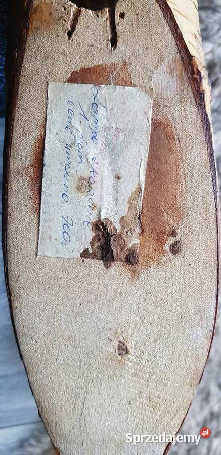 Stara lampa na korzeniu