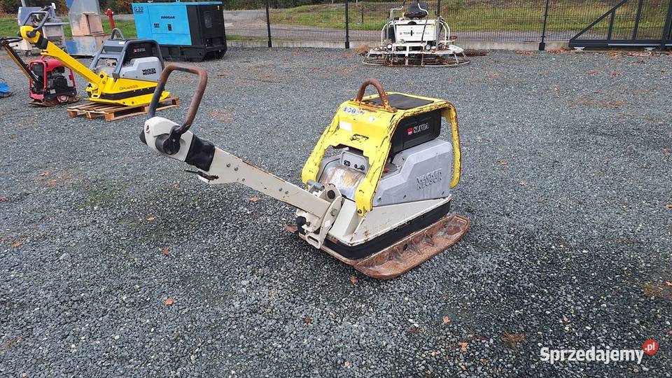 Zagęszczarka Ubijak Gruntu 2017 WACKER NEUSON dolnośląskie Trzebnica sprzedam