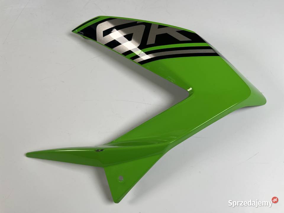 KAWASAKI ZX6R 636 1316 Owiewka Wypełnienie L Łobżenica