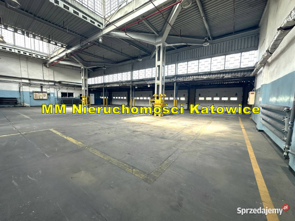Magazyny z rampami i mediami do wynajęcia Sosnowiec