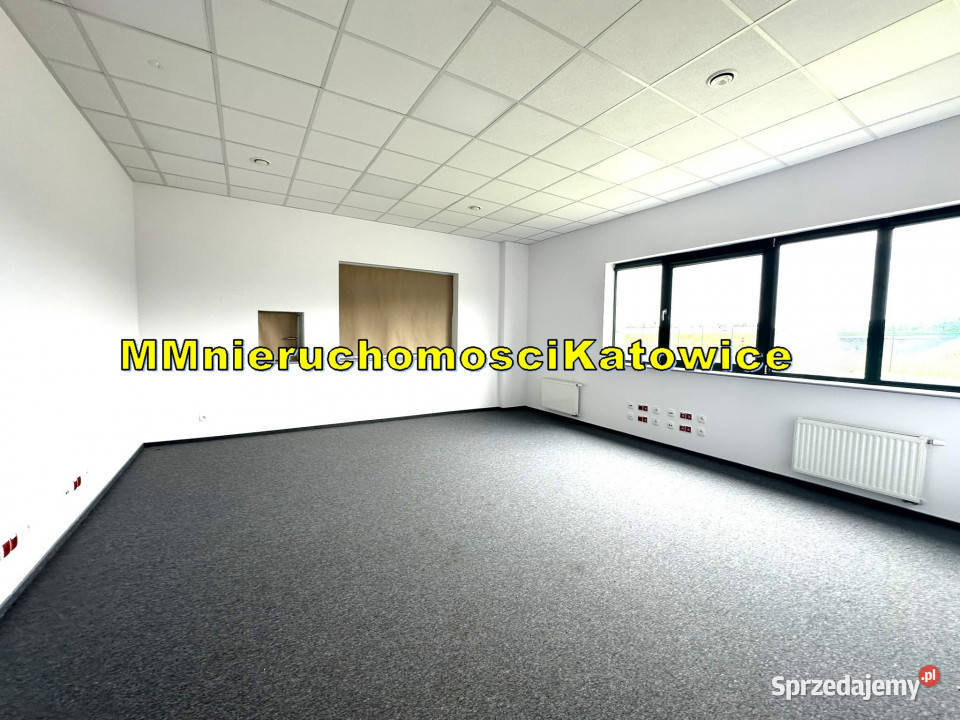 Magazyny do wynajęcia Ruda Śląska A4 do 13150 m2 parking