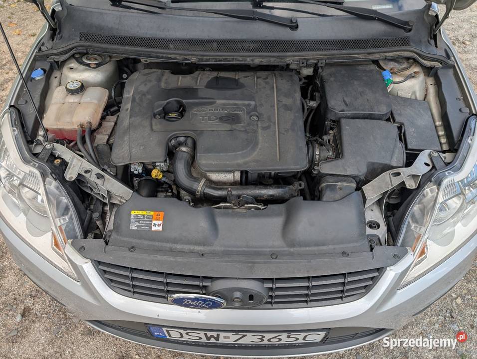 Ford Focus MK2 FL 16TDCi Focus
