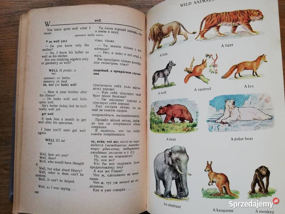 AngielskoRosyjski słownik z ilustracjami Kraków