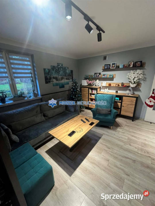 Kamienicę sprzedam 926m2 Zebrzydowice śląskie