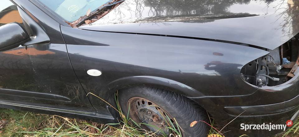 Blotnik prawy nissan Almera n16 kolor Z11 Szczecin sprzedam