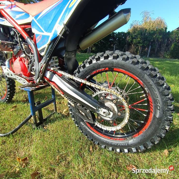 Beta Xtrainer 300 18r Końskie sprzedam