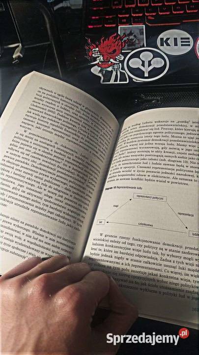 Książka Reprezentacja Monica Brito Vieira i Janów Lubelski