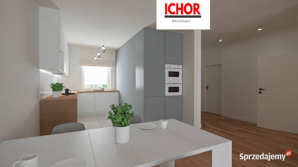 Dom Starcza Brzozowa 30 ICHOR Deweloper