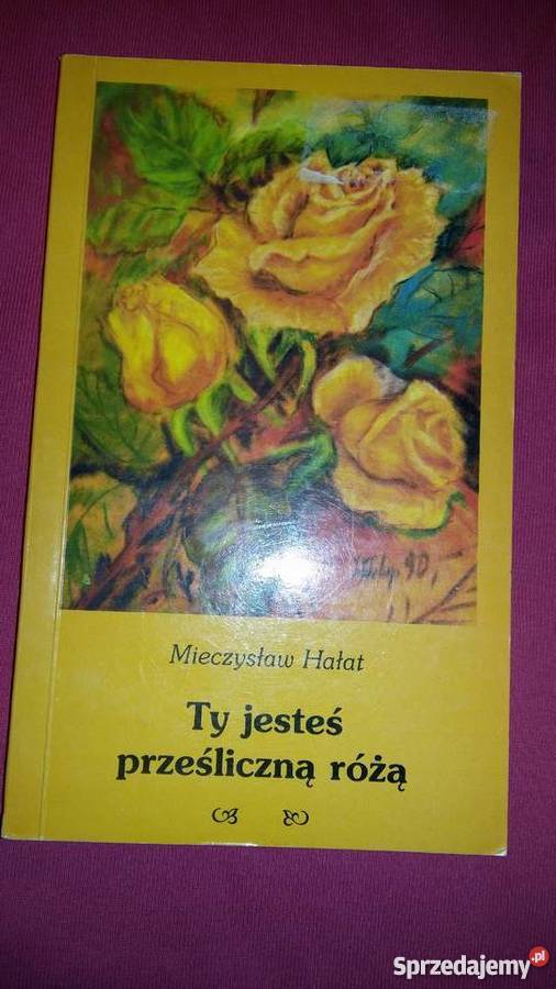 Ty jesteś prześliczną różą Mieczysław Hałat Łódź