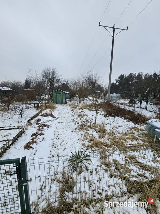 Sprzedam ogrodek Pozostałe Pozostałe sprzedam