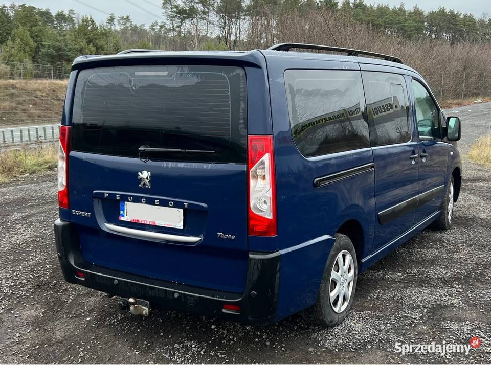 Peugeot Expert 20 HDI bez DPF bez dwumasy Jumpy Wyszków