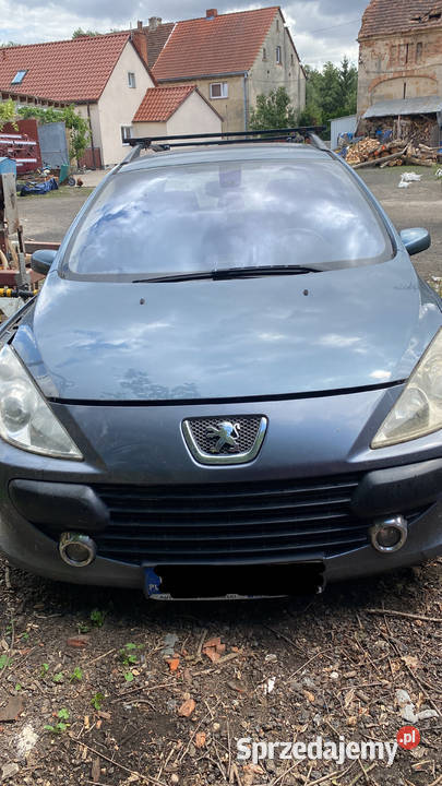Peugeot 307 Zagrodno